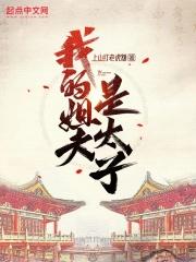 我的姐夫是太子有声
