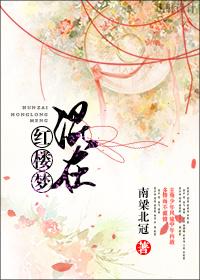 主角在红楼梦的