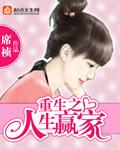 重生之人生赢家作者席祯