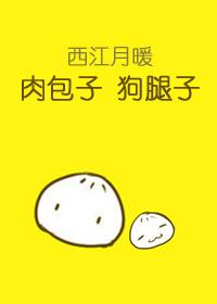肉包子打狗什么什么