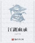 江湖血录泪丁残
