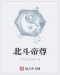 北斗帝尊简介