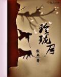 玲珑月资源txt