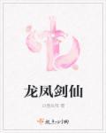 龙风双剑视频