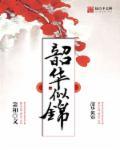 韶华似舟岁月难酬是什么意思