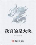 我也是大侠真气获取倍数