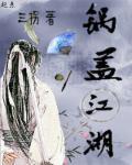 锅盖游戏