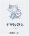 宇智波团扇