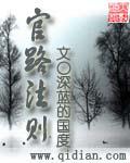 官路法则笔趣阁