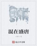 混在大唐的工科宅男免费阅读全文