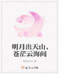 明月出天山苍茫云海间表达的情感