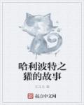 哈利波特獾院有谁