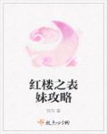 红楼之遇到妹控怎么办?