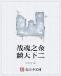 战魂天下