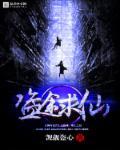 盗天仙途结局是什么意思