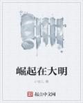 大明崛起1629