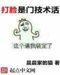 打脸不什么意思