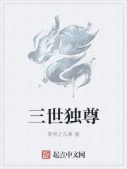 三世独尊等级体系划分