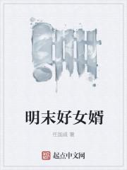 明末好女婿t×t
