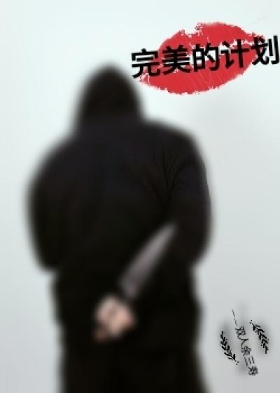 完美计划电视剧剧情介绍