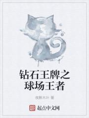 钻石王牌之球场王者笔趣阁