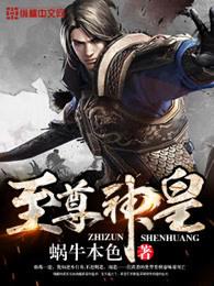 至尊神皇林阳