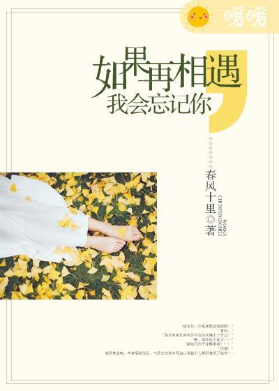 如果再相遇我想我会记得你什么意思