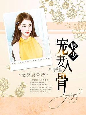 傅少他宠妻入骨