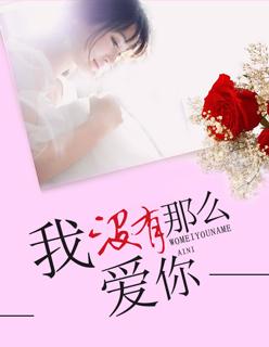 我没有那么爱你电视剧中的插曲