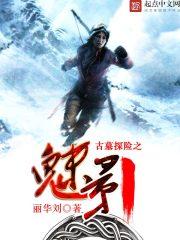 古墓探针