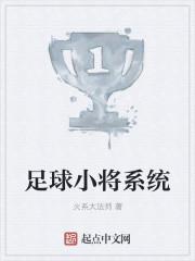 足球小将游戏叫什么