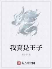 我真的是王者