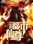 重生之都市仙尊秦逸辰