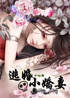 逃婚小娇妻1-100集免费