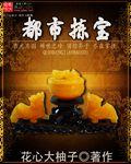 都市捡宝小能手 木积木积木